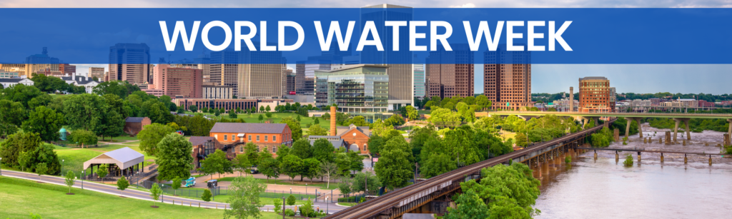 World Water Week