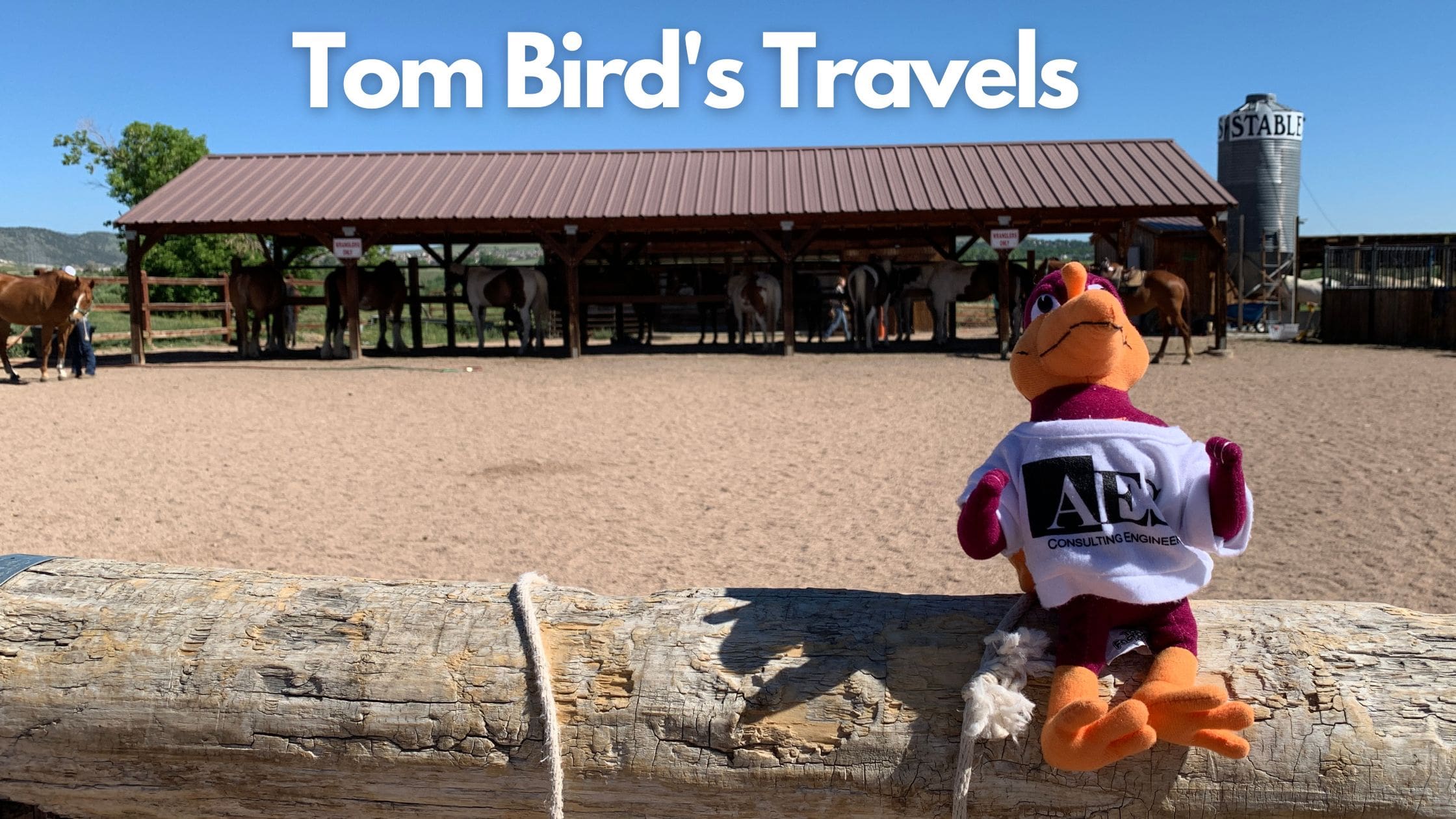 Tom Bird 2022 Travels